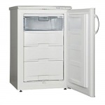 Snaige F 100-1101A